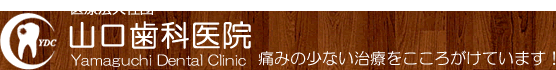 塚口の山口歯科医院　痛みの少ない治療をこころがけています！